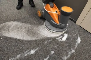 Safe Carpet Cleaning in Staten Island Homes An Ultimate Guide For Locals