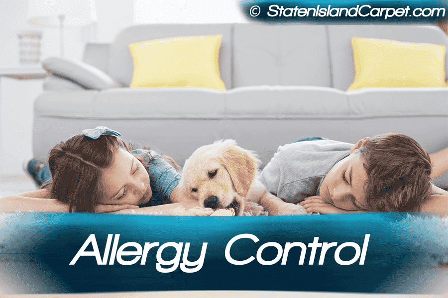 Allergy Treatment