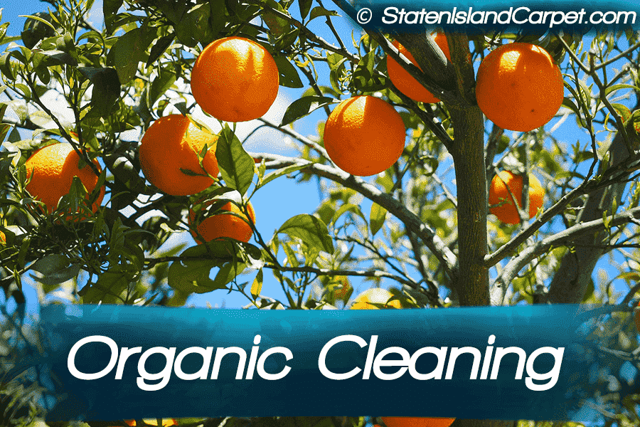 Organic Cleaning